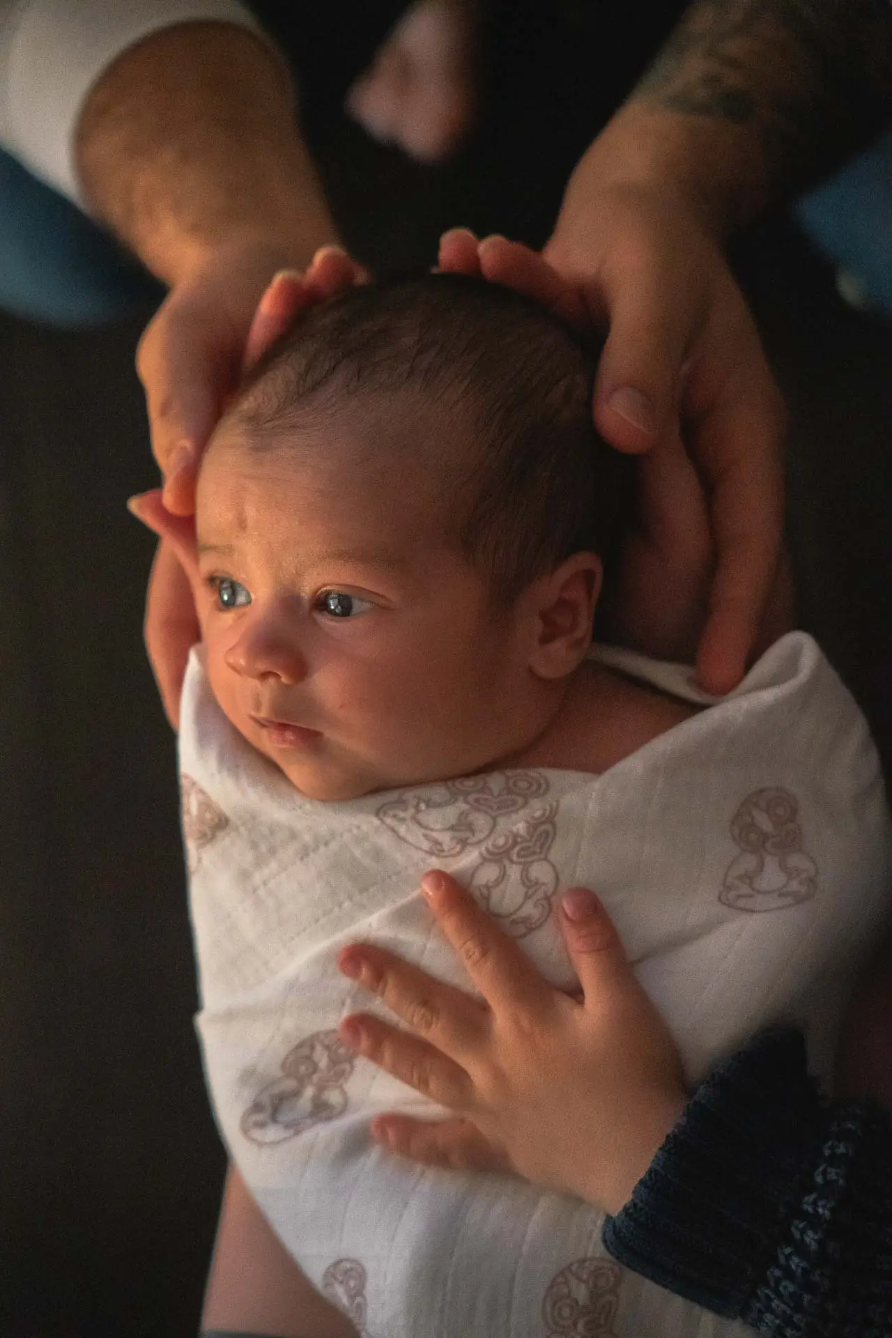 Newborn Photography New Plymouth - Baby Photography Goldie & Co