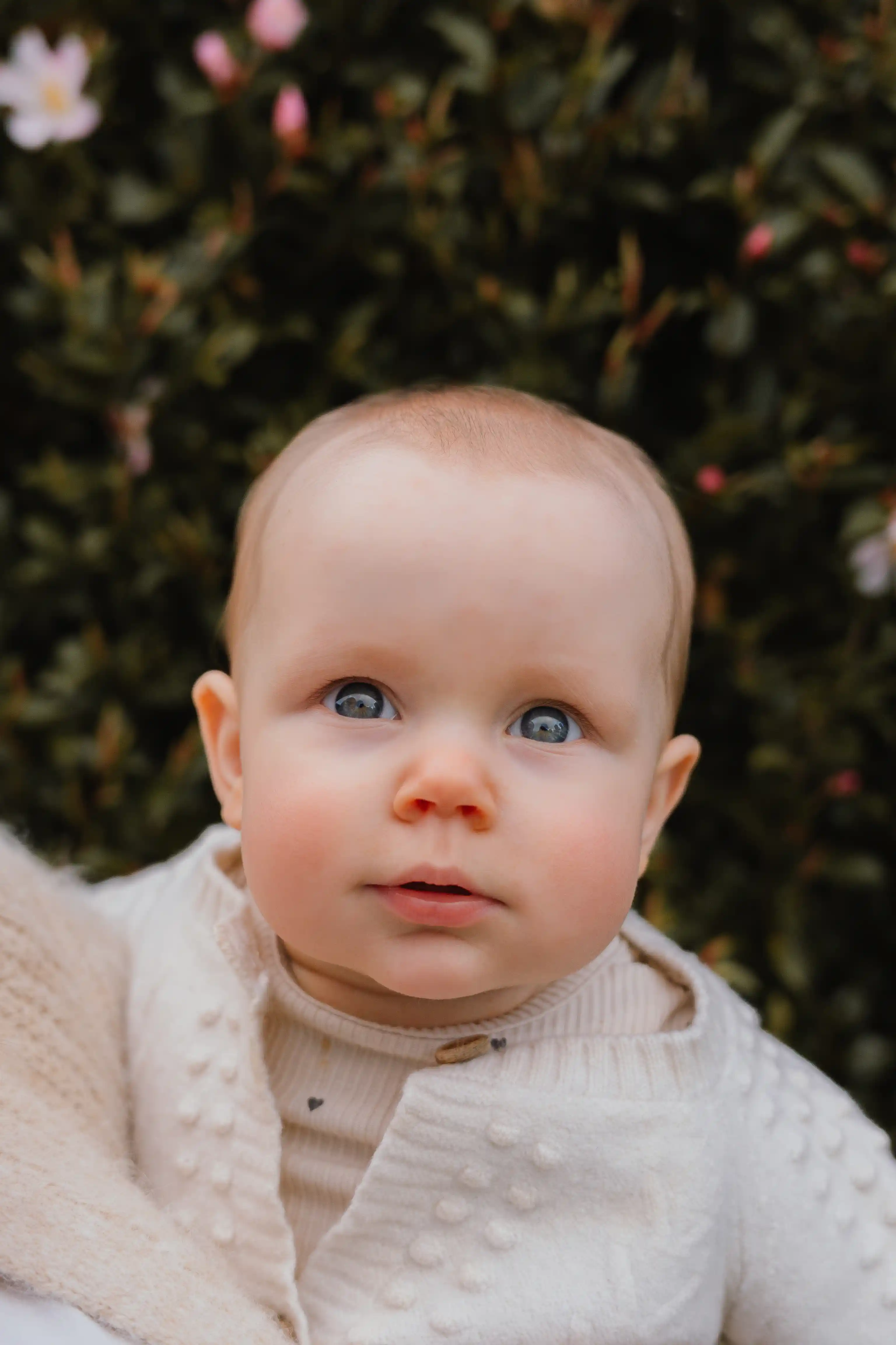 Family photography New Plymouth - family laughing together in the dunes