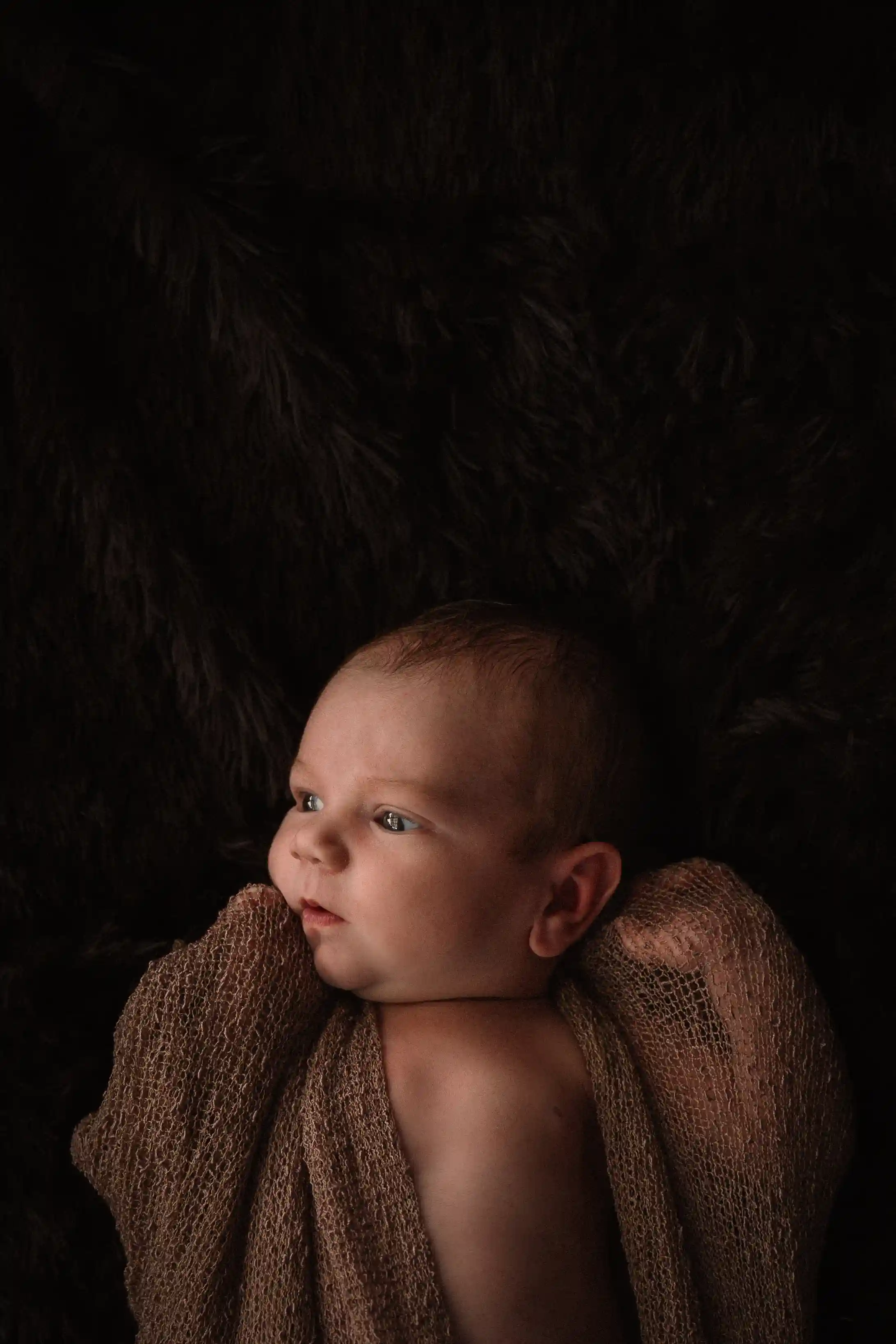 Newborn photography New Plymouth - parents cradling their newborn together